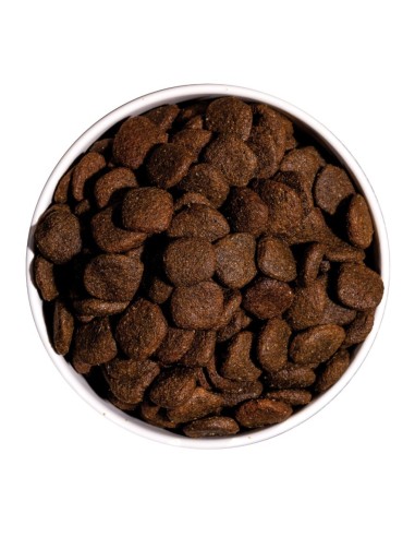 Ownat Chien GF HYPO Agneau 3kg