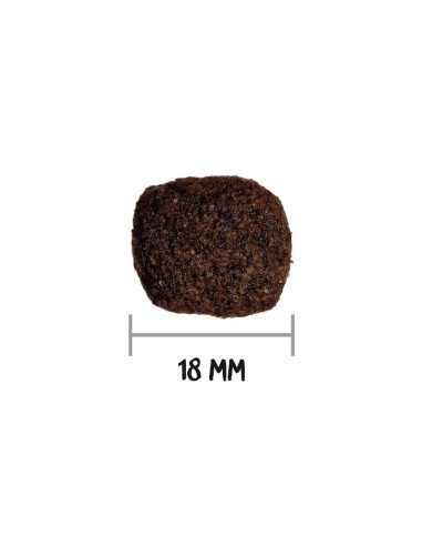 Ownat Chien GF HYPO Agneau 3kg