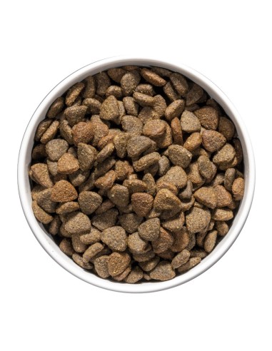 Ownat Chien Care Mobility 10kg