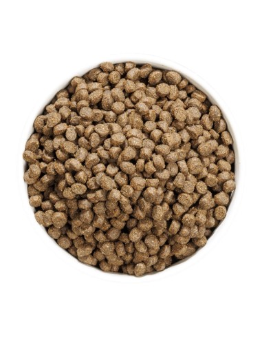 Ownat Chat Just GF Sterilised Fish 3kg