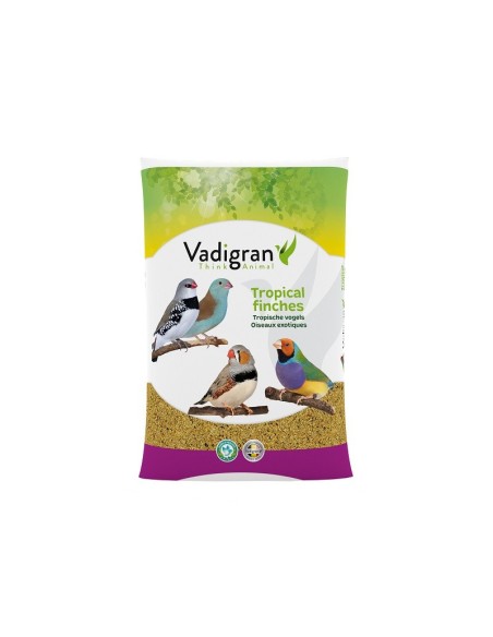 Coussin Exotiques 20 Kg