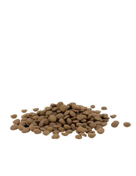 Optilife Cat Sterilised/Light 1kg