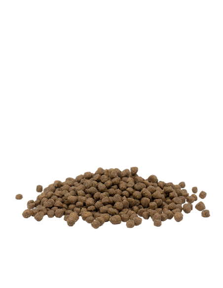 Optilife Cat Kitten 1kg