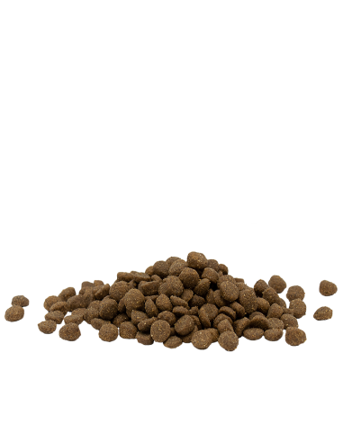 Optilife Cat Adult 1kg