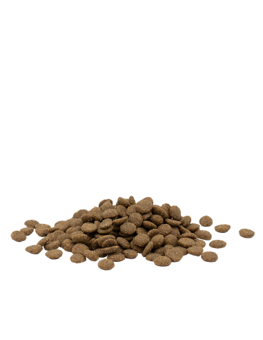 Optilife Cat Urinary 1kg