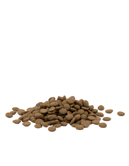 Optilife Cat Urinary 1kg