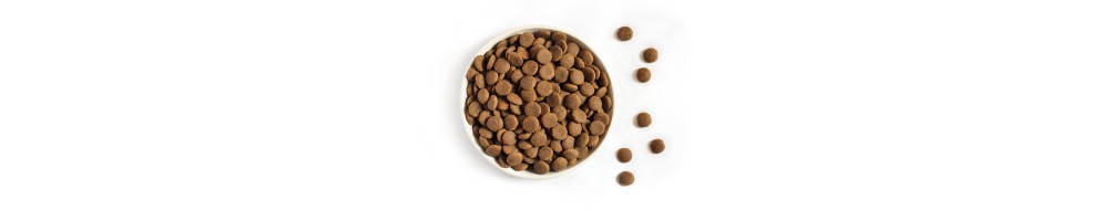 Croquettes pour chien - Ami Jardin