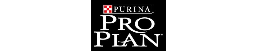Pro Plan