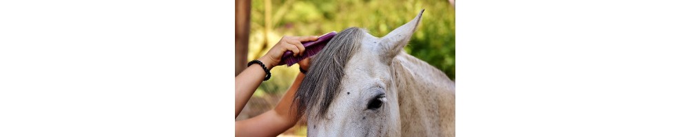 Accessoires