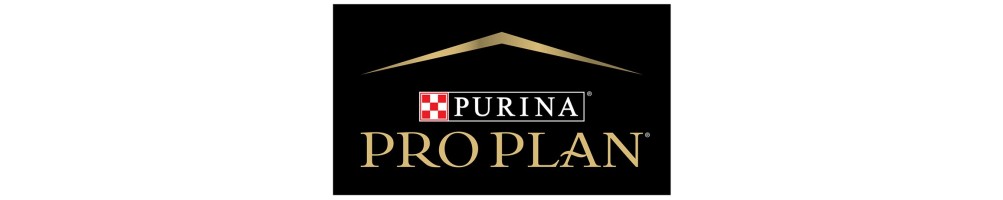 Pro Plan